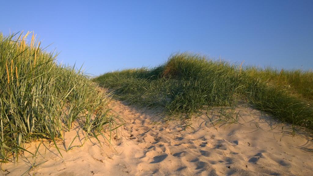 Ostsee Ferienappartement Dierhagen-Strand Экстерьер фото